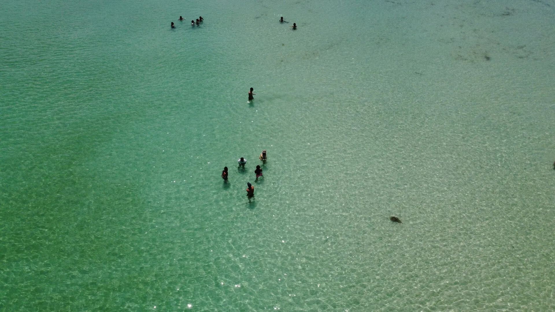 Vista aérea del muelle de Sisal, Yucatán
